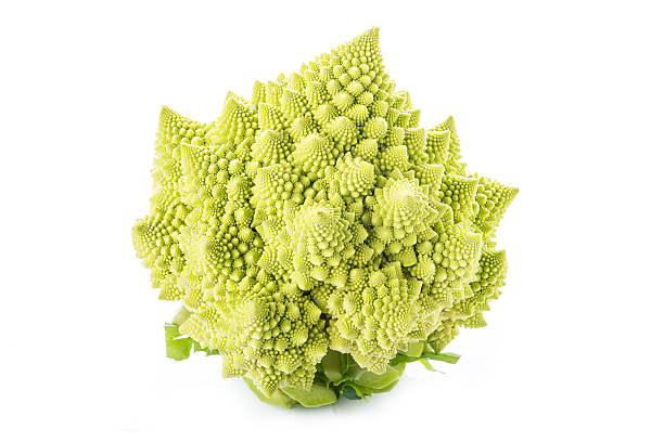 istock Romanesco broccoli vegetable isolated on white background 481682938