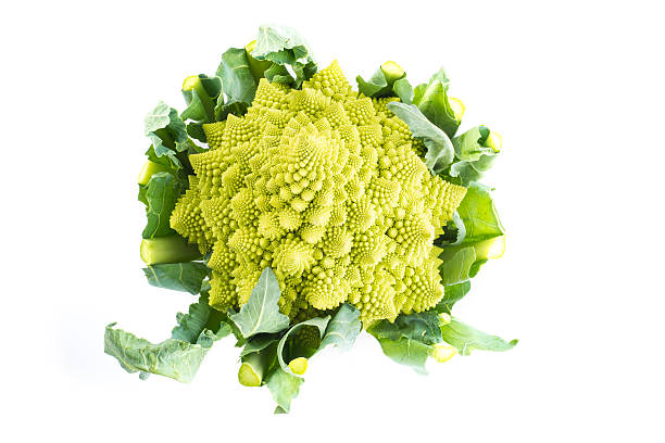 istock Romanesco broccoli vegetable isolated on white background 481682984