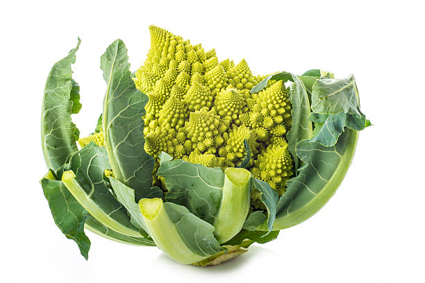 istock Romanesco broccoli vegetable isolated on white background 481682986