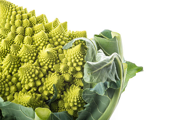 istock Romanesco broccoli vegetable isolated on white background 481682988