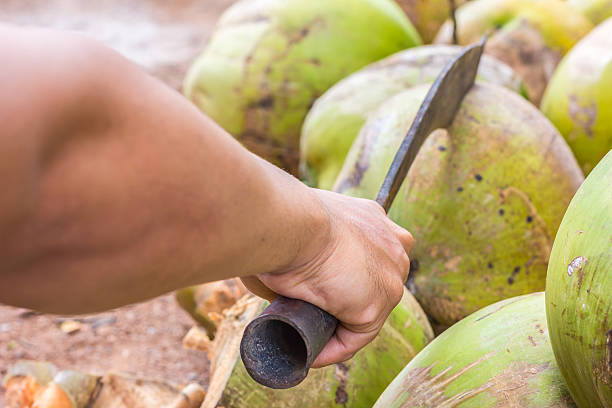 istock Man,show only hand, chopping coconut by big knife 481683048