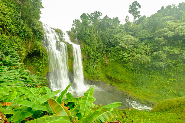 istock Tad Gneuang Waterfall.Paksong District, Champasak Province 481683320