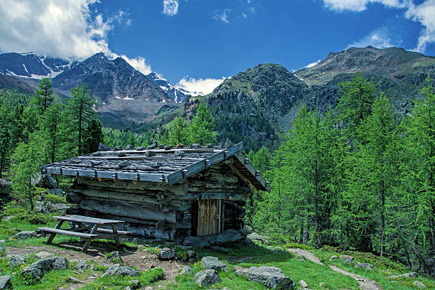 istock Mountain in South-Tirol 481689266