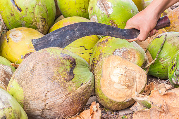 istock Man,show only hand, chopping coconut by big knife 481689636