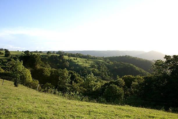 istock Green Hills in late Afternoon Sunlgiht 481692549