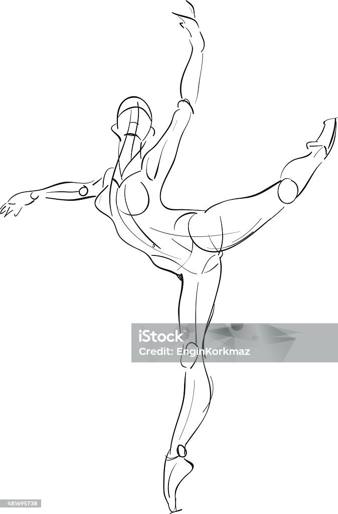 Female anatomy drawing sketch Vector illustration, freehand digital tablet drawing of sketchy female anatomy, ballet figures The Human Body stock vector