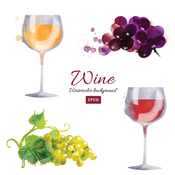 워터컬러 벡터 와인 배경기술 설정 - wineglass illustration and painting isolated on white clipping path stock illustrations