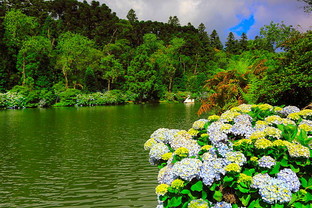 istock Black Lake in Gramado, Rio Grande do Sul 481709416