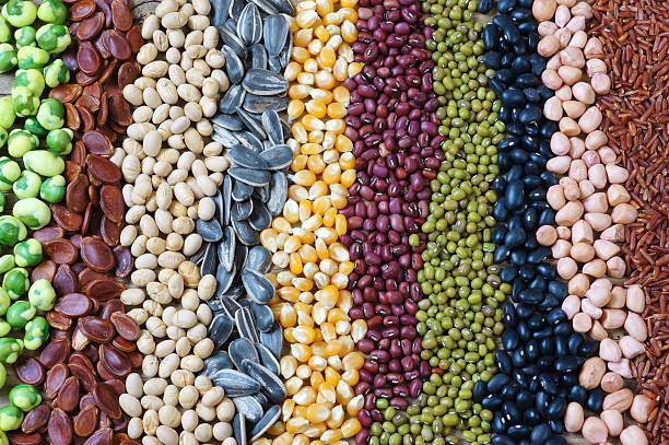 istock Collection of grain, cereal, seed, bean 481709952