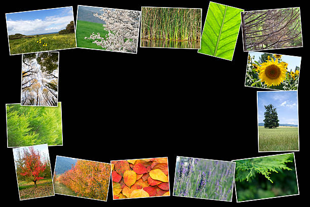 istock Collage of many nature photos 481710522
