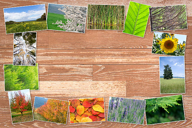 Collage of many nature photos