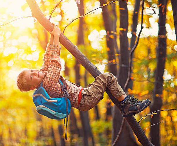 istock Little boy climbing the autumn tree 481711164