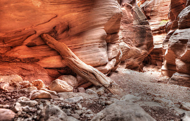 istock Buckskin Gulch Narrows 481711177