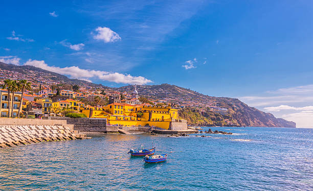 waterfront of 푼샬, 마이데라 - funchal 뉴스 사진 이미지