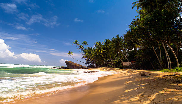 istock Palms and cabin on the tropical beach 481711953