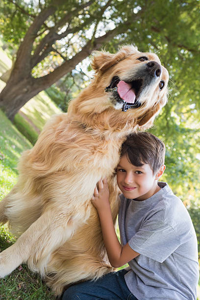istock Little boy with his dog in the park 481714928
