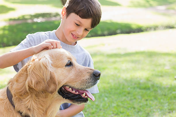 istock Little boy with his dog in the park 481714940