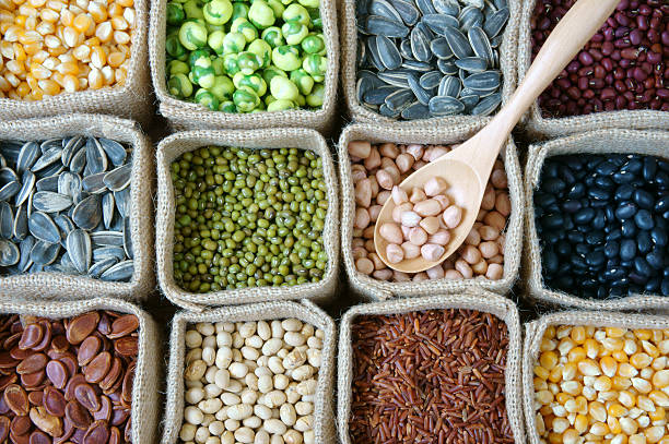 istock Collection of grain, cereal, seed, bean 481715172