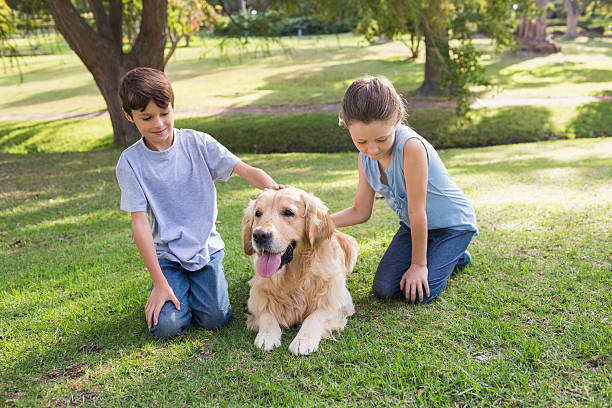 istock Sibling with their dog in the park 481715598