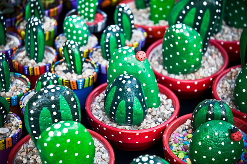 stone cactus and potts stall in Argentina,  Buenos Aires, on 9 of July of 2015.