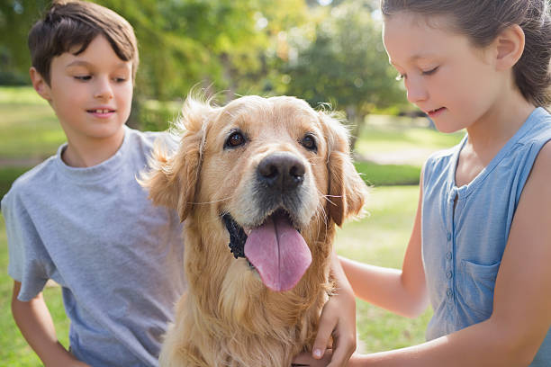 istock Sibling with their dog in the park 481716346