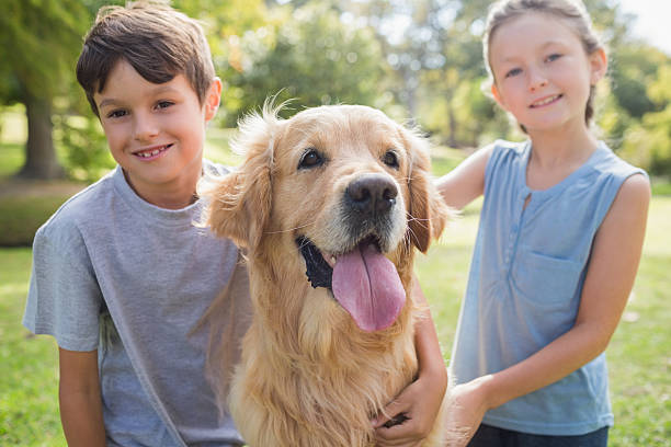 istock Smiling sibling with their dog in the park 481716354