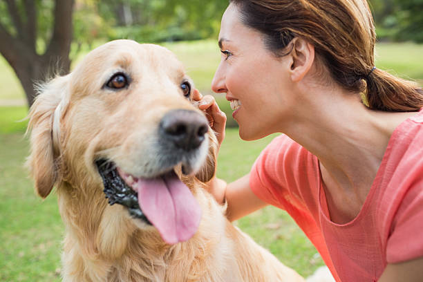 istock Pretty brunette with her dog in the park 481716450