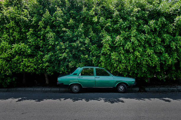 Verde auto a fronte di Siepe verde - foto stock