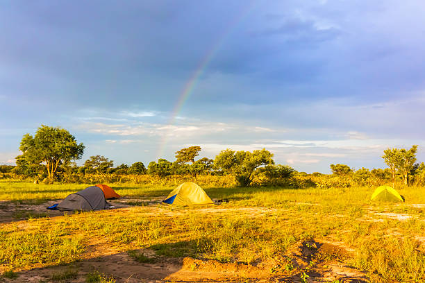 istock Camp ground near Kasane in Botswana 481717160