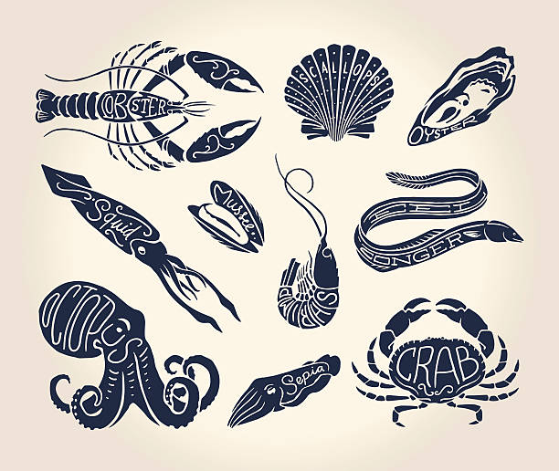 ヴィンテージのイラストの証拠、シーシェルズと cephalopods 、名 - sepia toned illustrations点のイラスト素材／クリップアート素材／マンガ素材／アイコン素材