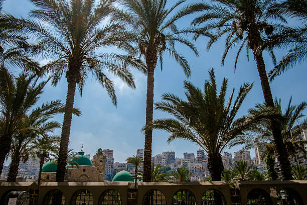 mesquita e palma árvores em trípoli - tripoli imagens e fotografias de stock