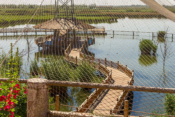 sabbia lago (shahu), ningxia contea della cina - guyuan foto e immagini stock