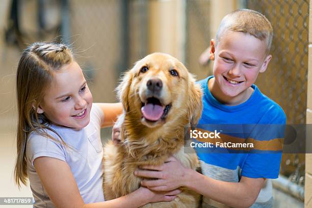 Adozione Di Animali - Fotografie stock e altre immagini di 6-7 anni - 6-7 anni, 8-9 anni, Adozione