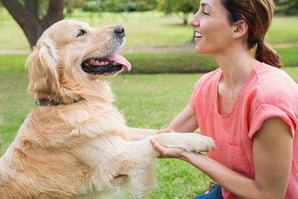 istock Pretty brunette playing with her dog in the park 481720912