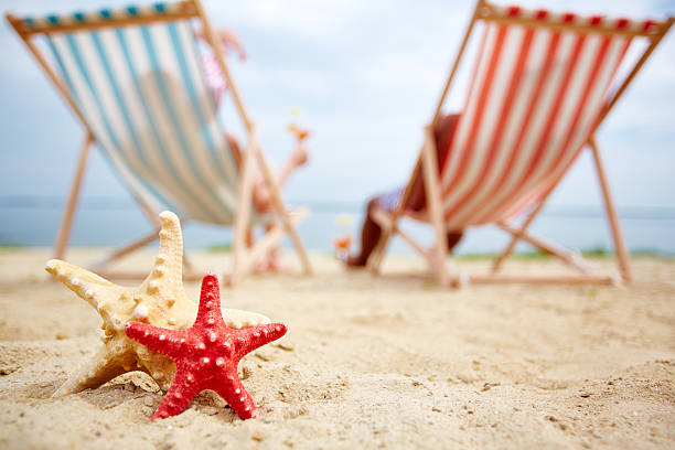 istock Sea stars on sandy beach 481721230