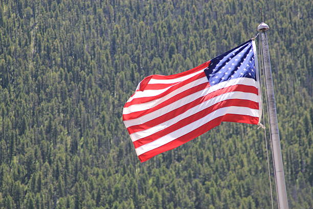 istock American flag/USA flag 481722566