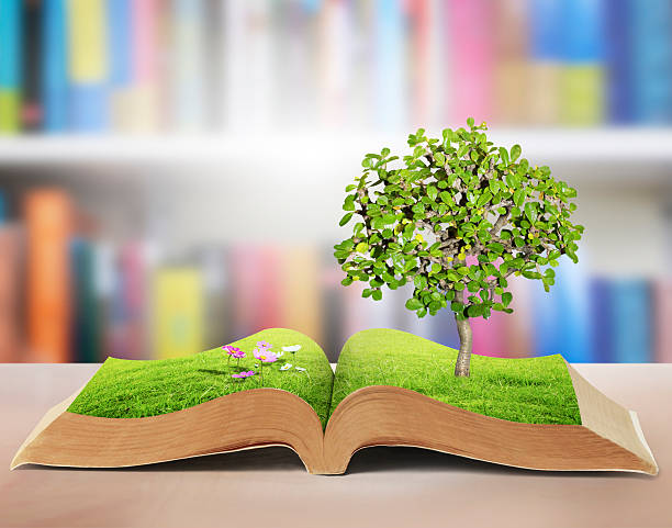istock book of fantasy stories 481723868