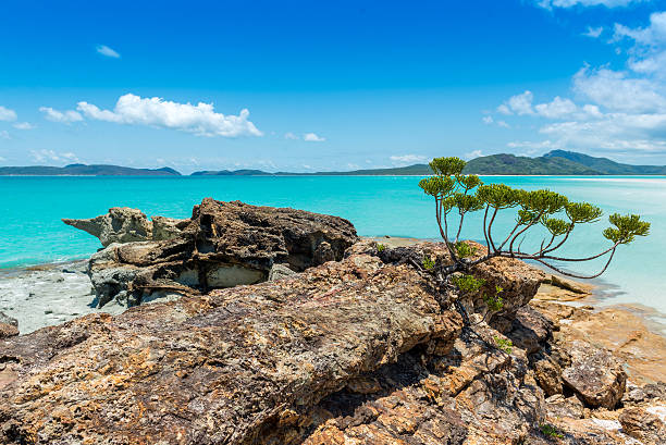 istock Whitehaven beach, Whitsundays - Australia 481724395