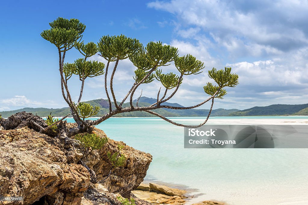 Whitehaven beach, Whitsundays - Australia Whitehaven beach, Whitsundays - AustraliaWhitehaven beach, Whitsundays - Australia Abstract Stock Photo