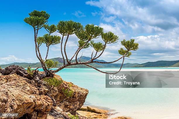 Whitehaven Beach Whitsundays Australia Stock Photo - Download Image Now - Abstract, Australia, Beach