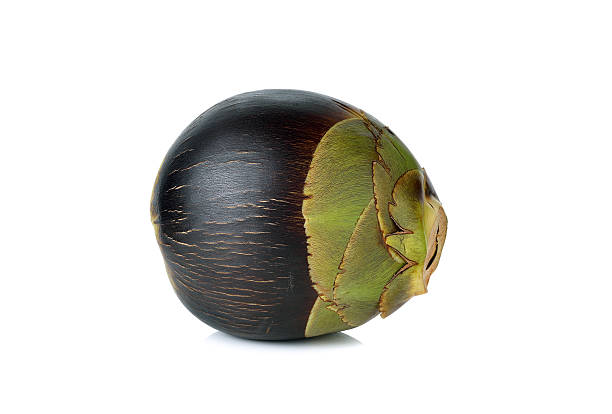 istock whole fresh toddy palm fruit on white background 481727804