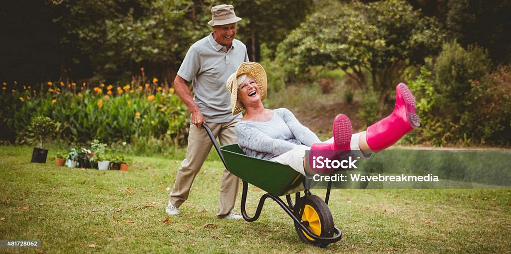 Happy senior couple playing with a wheelbarrow Happy senior couple playing with a wheelbarrow in a sunny day  Gardening Stock Photo