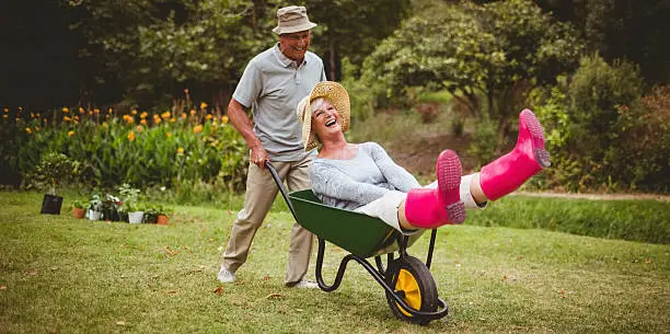 Happy senior couple playing with a wheelbarrow in a sunny day 