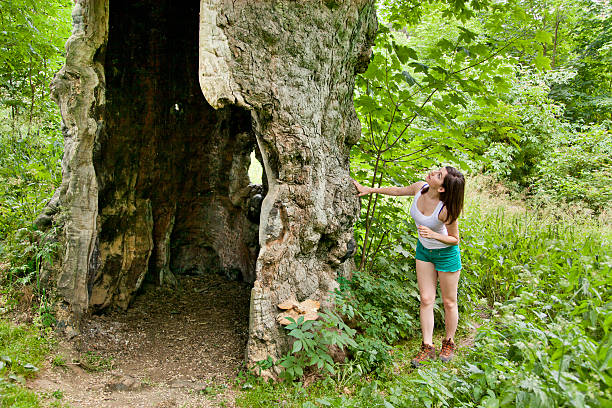 istock Tourist woman on a trip viewing hollowed giant tree 481728504