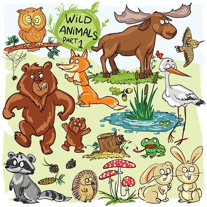 Wild animals, hand drawn collection, part 1. All animals are isolated groups so you can move and separate them.