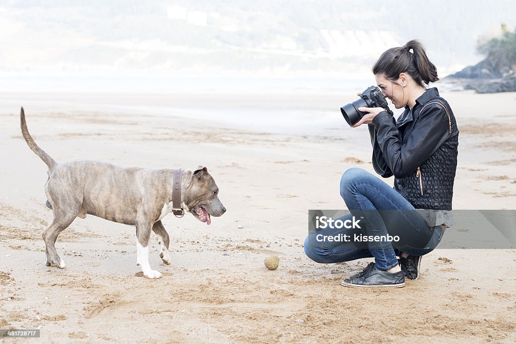 Young woman taking pictures of your dog, outdoor. Photographer taking pictures of the dog in the beach. Beach Stock Photo