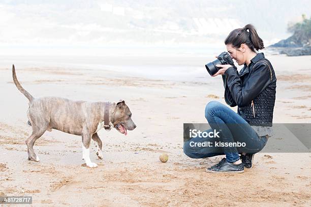 Young Woman Taking Pictures Of Your Dog Outdoor Stock Photo - Download Image Now - Beach, Photographer, Photographing