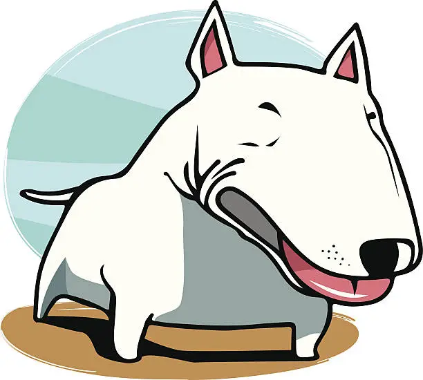 Vector illustration of bull terrier