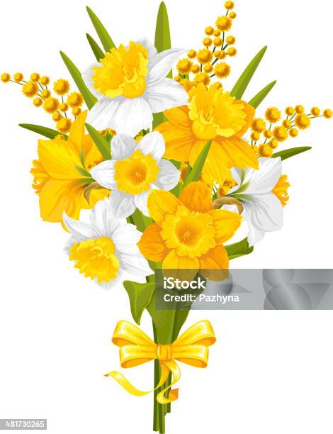 Daffodils And Mimoses Stock Illustration - Download Image Now - Acacia Tree, April, Aromatherapy