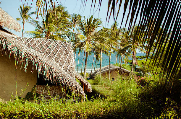 Eco village by the sea Eco village by the sea in Vietnam thatched roof hut straw grass hut stock pictures, royalty-free photos & images
